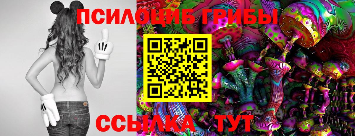 Галлюциногенные грибы GOLDEN TEACHER  Псилоцибиновые грибы мицелий  Шарыпово  Вход с VPN 