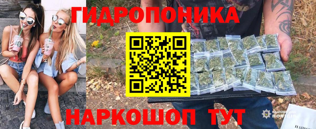 Шишки марихуана MAZAR  МАРИХУАНА OG Kush  Шарыпово  Вход с VPN  Каннабис планчик  Бошки Шишки конопля 